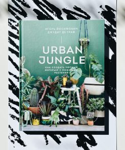 Urban Jungle. Как создать уютный интерьер с помощью растений