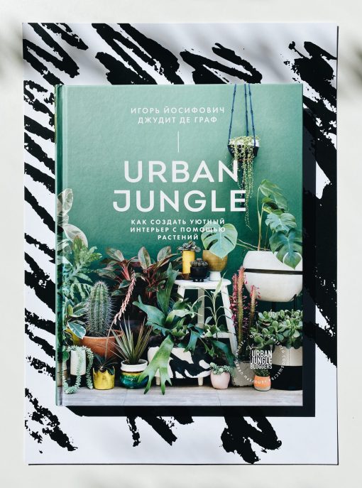 Urban Jungle. Как создать уютный интерьер с помощью растений
