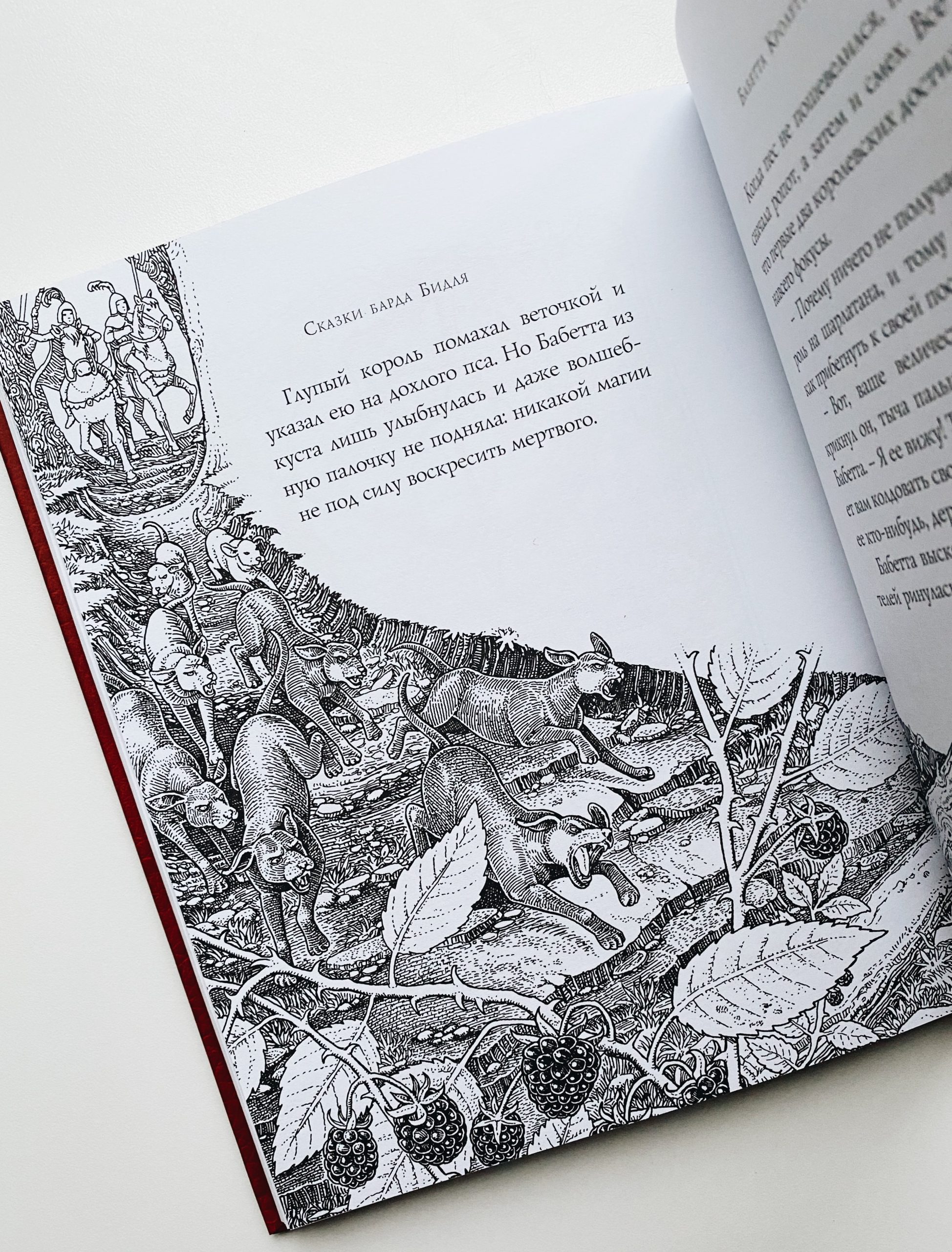 Сказки барда Бидля - Image 2