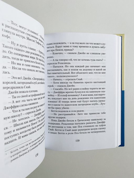 Пендервики. Летняя история про четырёх сестёр, двух кроликов и одного мальчика (1) - Image 5