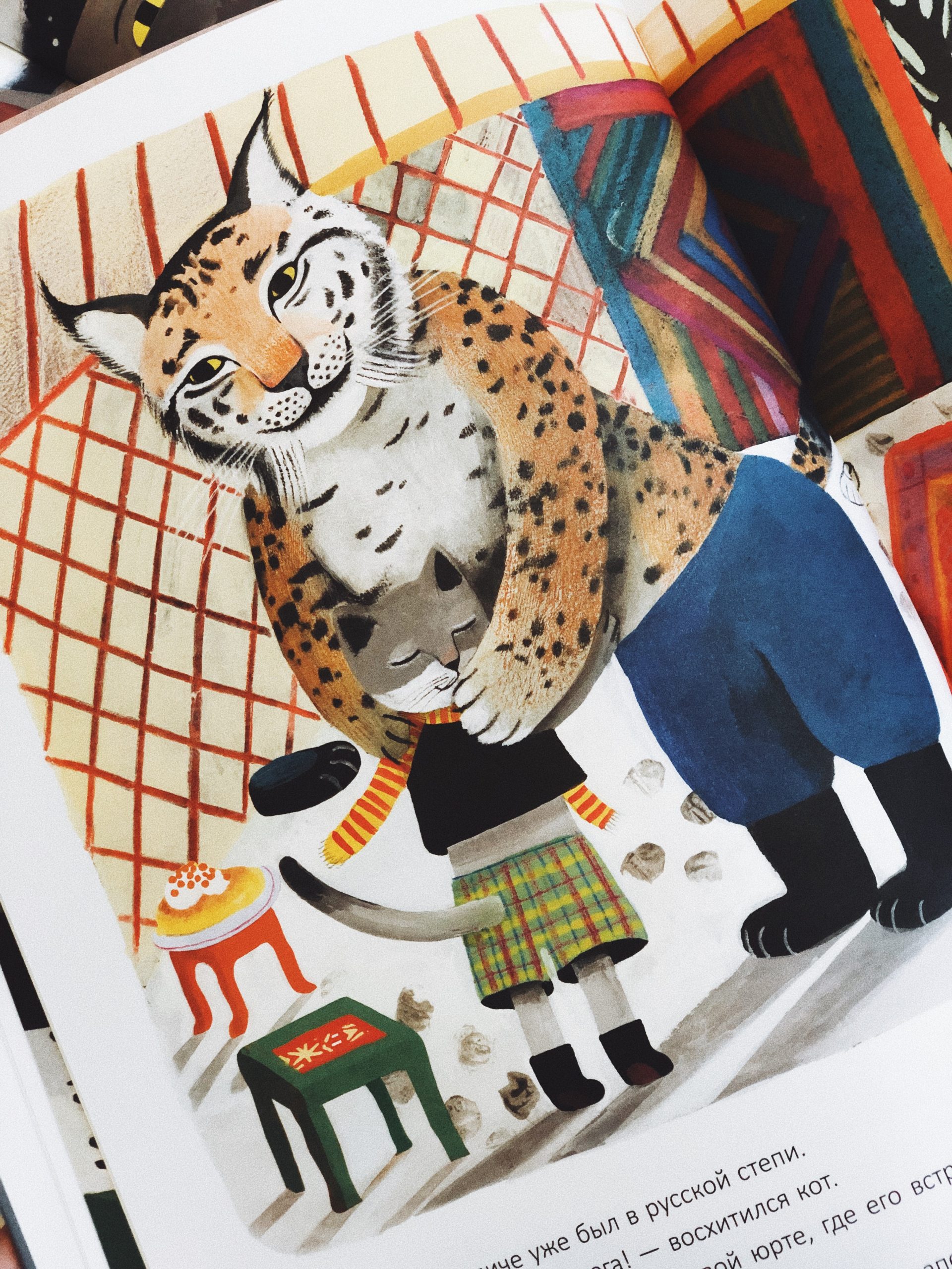 Счастье кота Феличе - Image 6