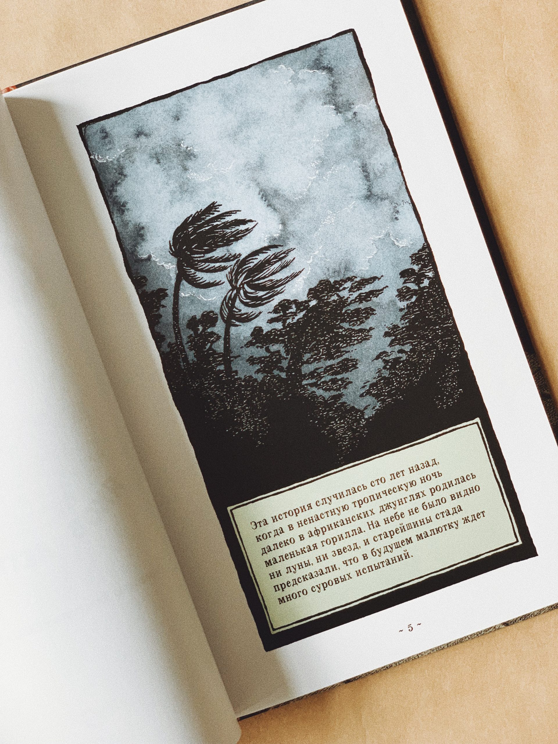 Легенда о Салли Джонс - Image 2