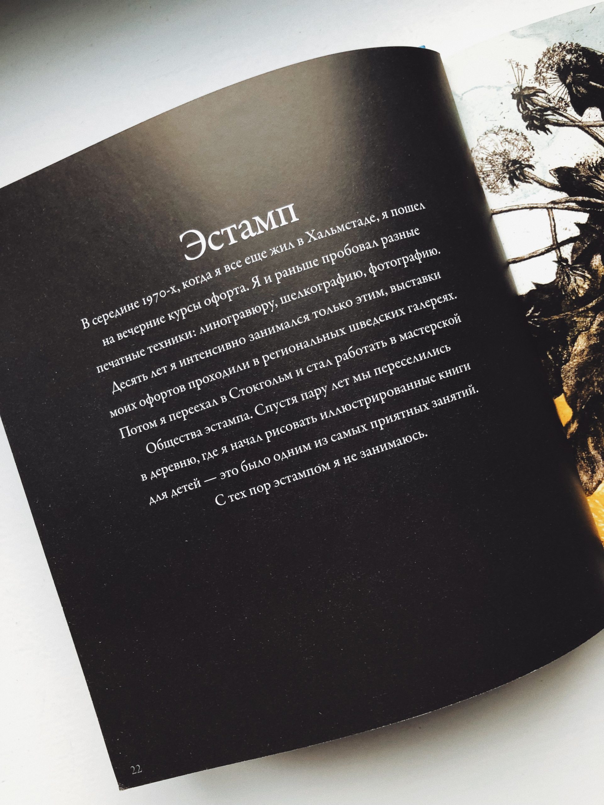 Жизнь в картинках - Image 5