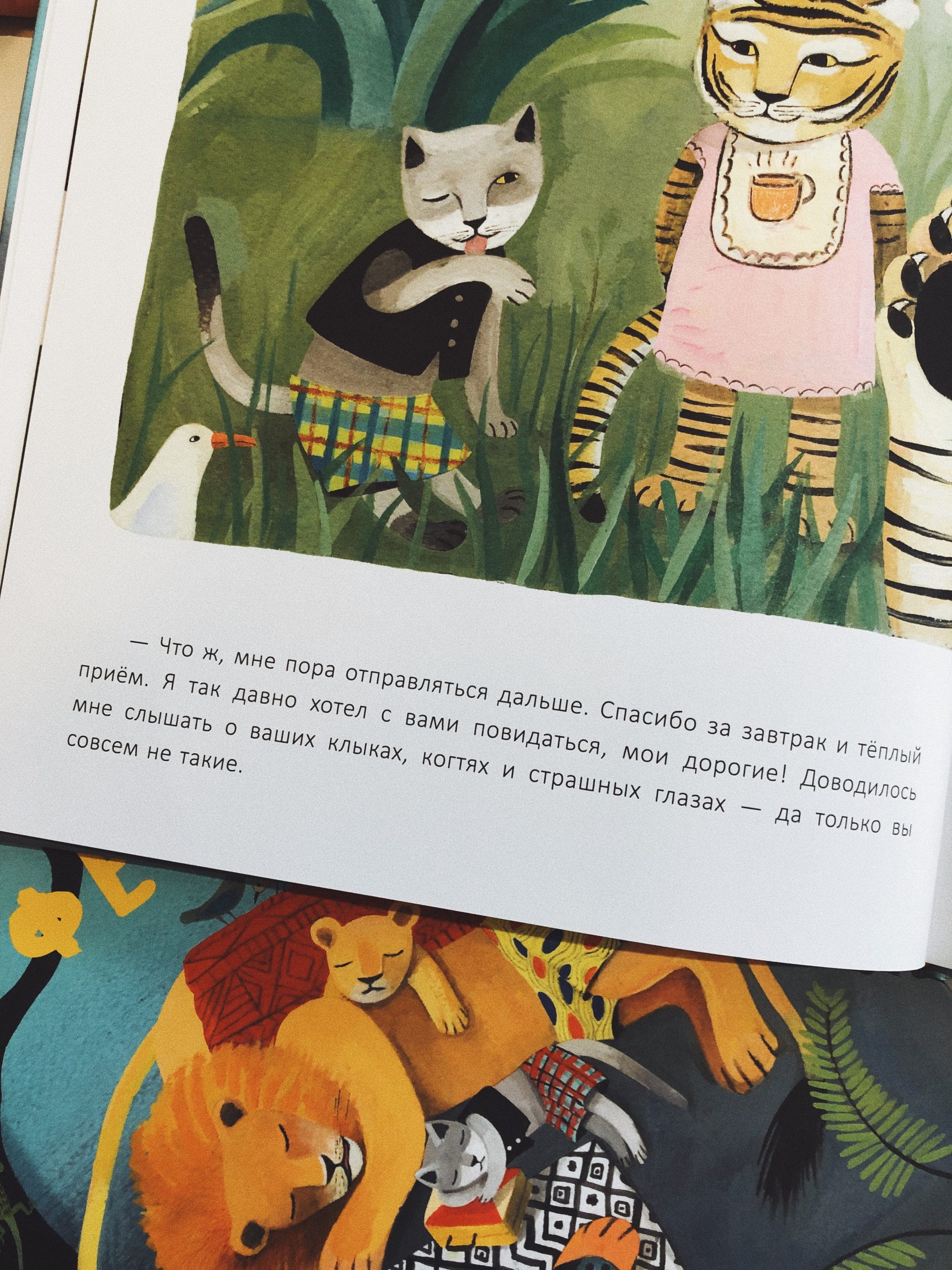 Счастье кота Феличе - Image 5