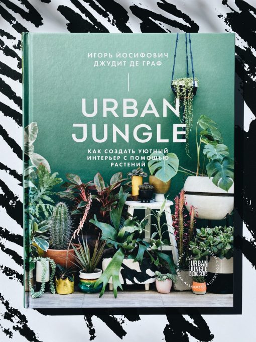Urban Jungle. Как создать уютный интерьер с помощью растений - Image 9