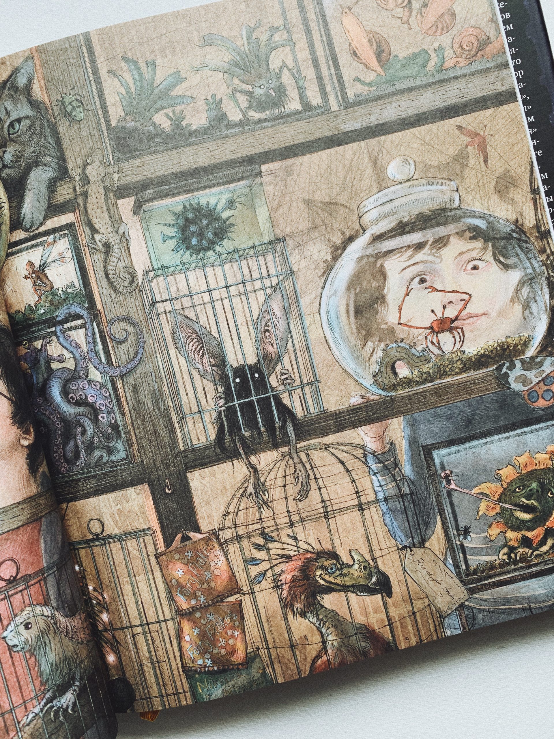 Гарри Поттер и узник Азкабана. Подарочное издание (3) - Image 5