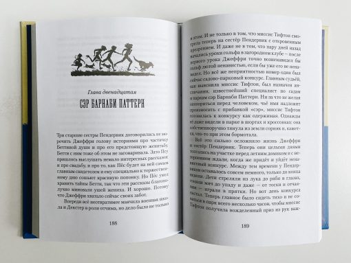 Пендервики. Летняя история про четырёх сестёр, двух кроликов и одного мальчика (1) - Image 4