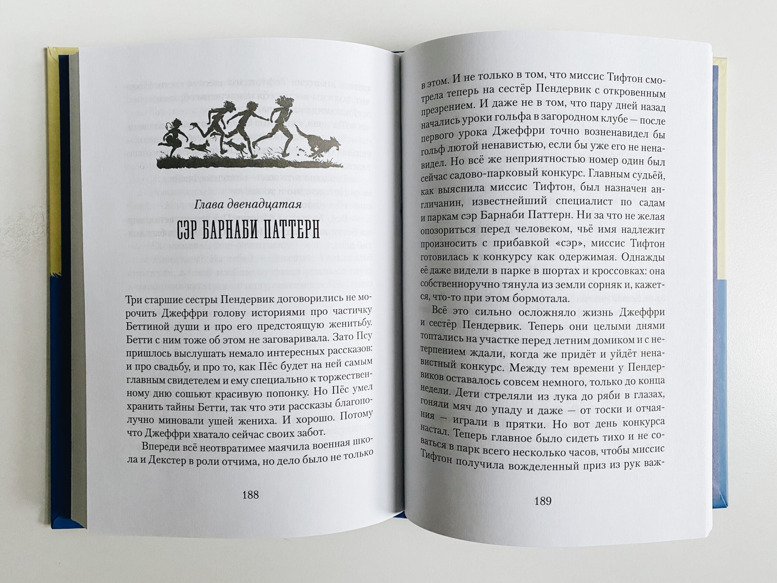 Пендервики. Летняя история про четырёх сестёр, двух кроликов и одного мальчика (1) - Image 4