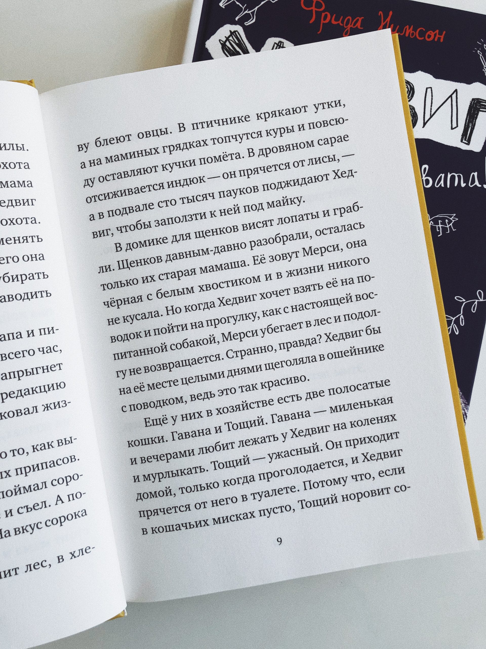 Хедвиг наконец-то идет в школу! (1) - Image 2