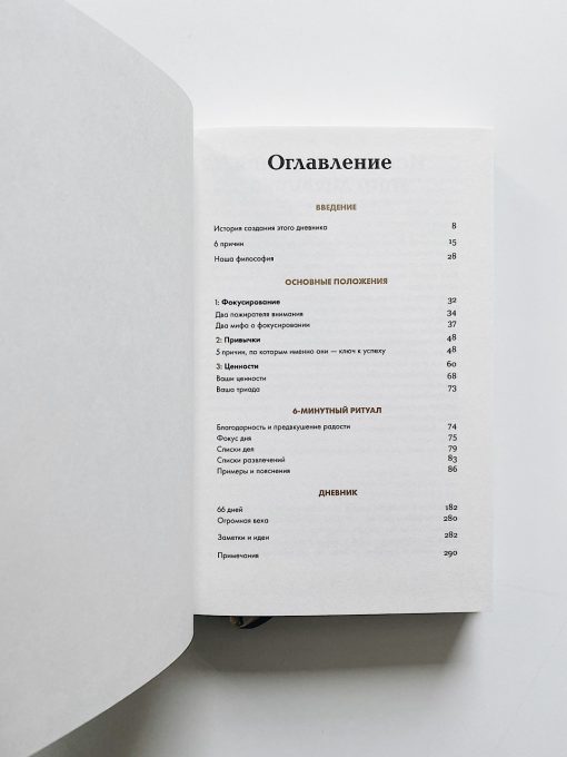 6 минут. Дневник успеха (шафран) - Image 2