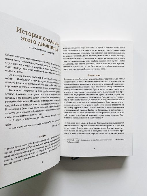 6 минут. Дневник успеха (шафран) - Image 8