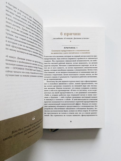 6 минут. Дневник успеха (шафран) - Image 9