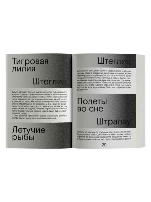 Сердце искателя приключений - Image 3