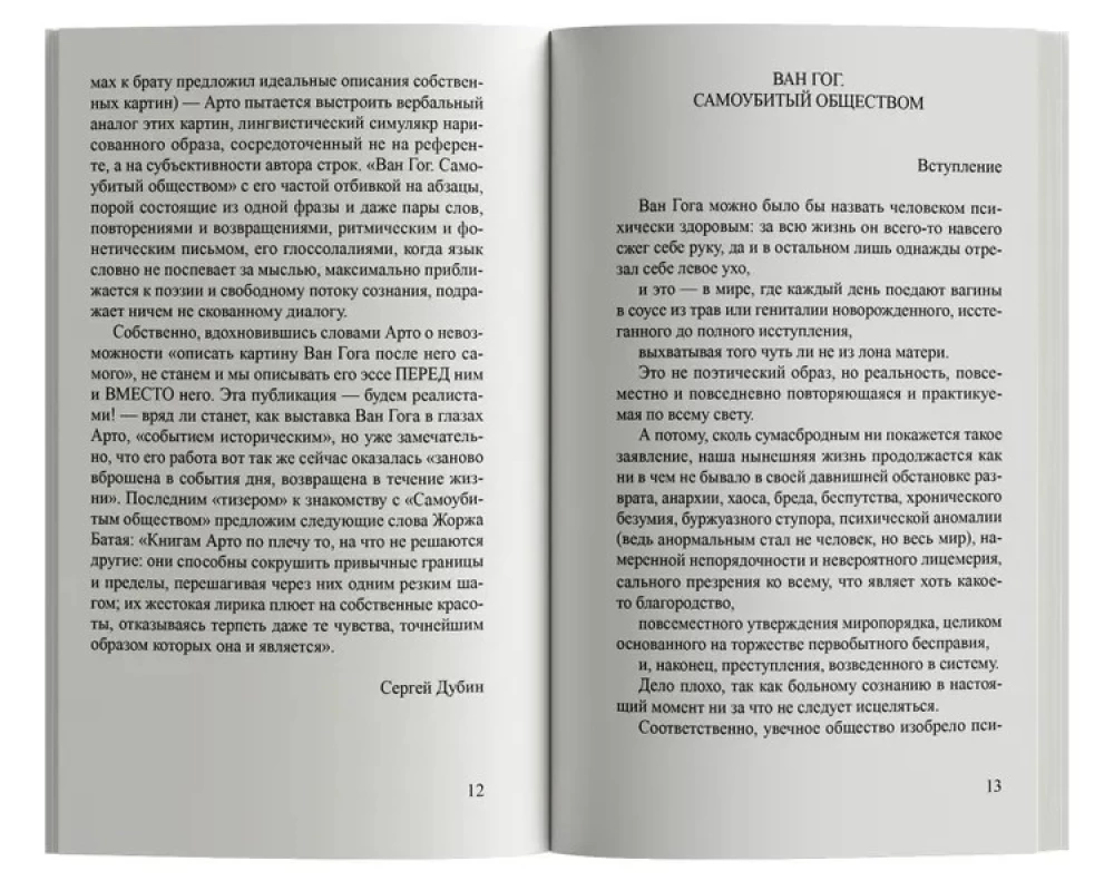 Ван Гог. Самоубитый обществом - Image 2