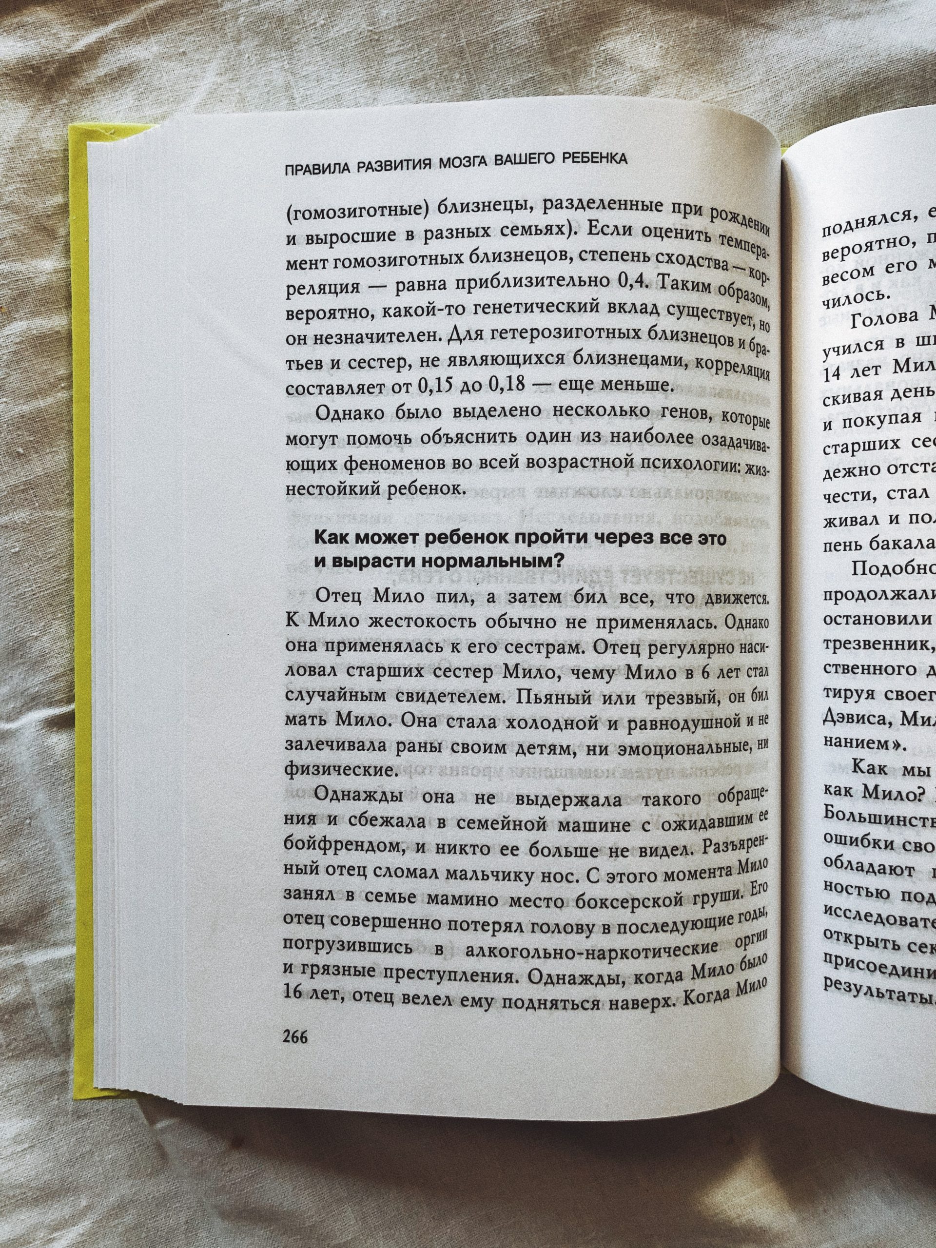 Правила развития мозга вашего ребенка - Image 4