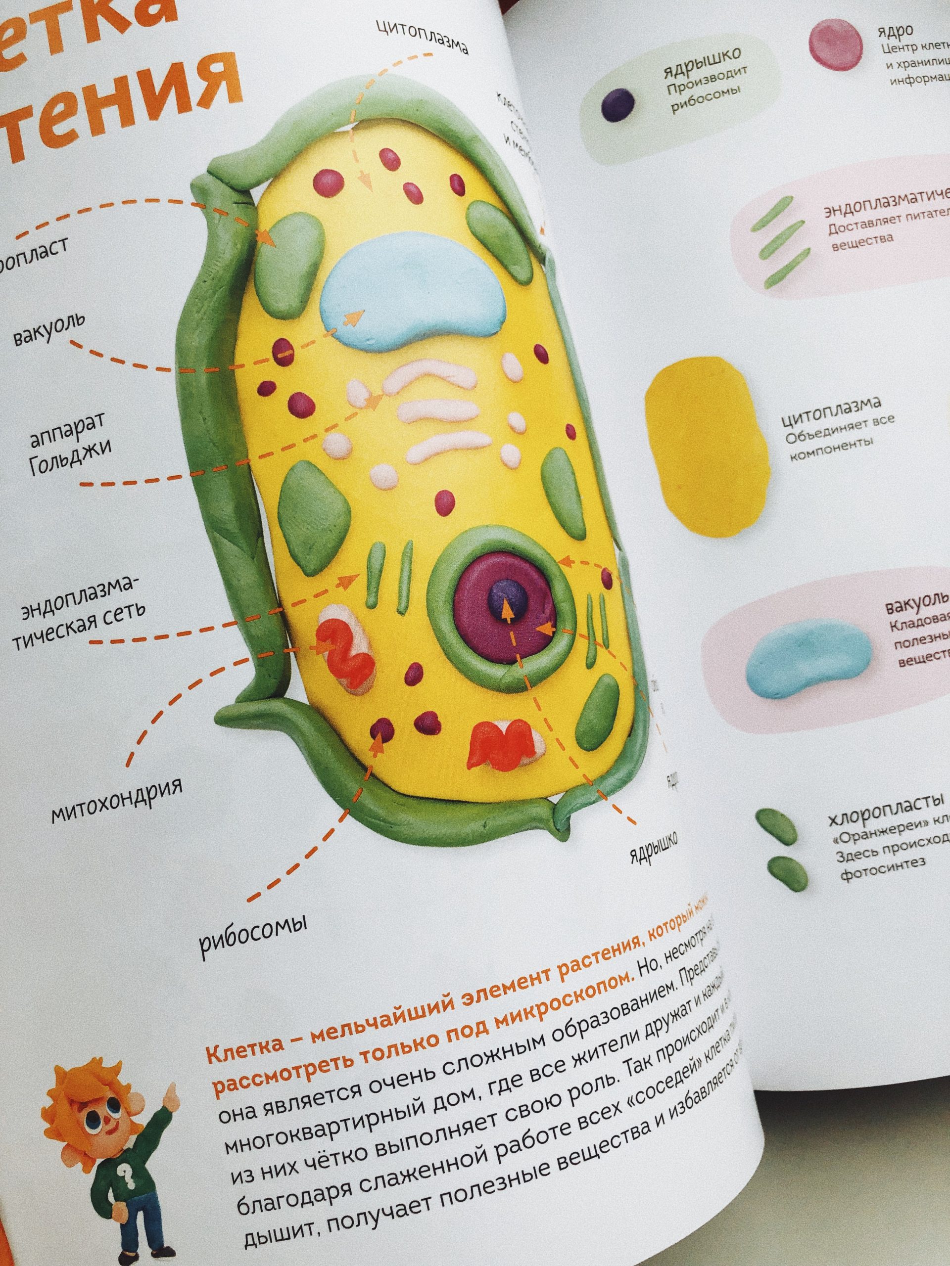Пластилиновая лаборатория Чевостика - Image 4