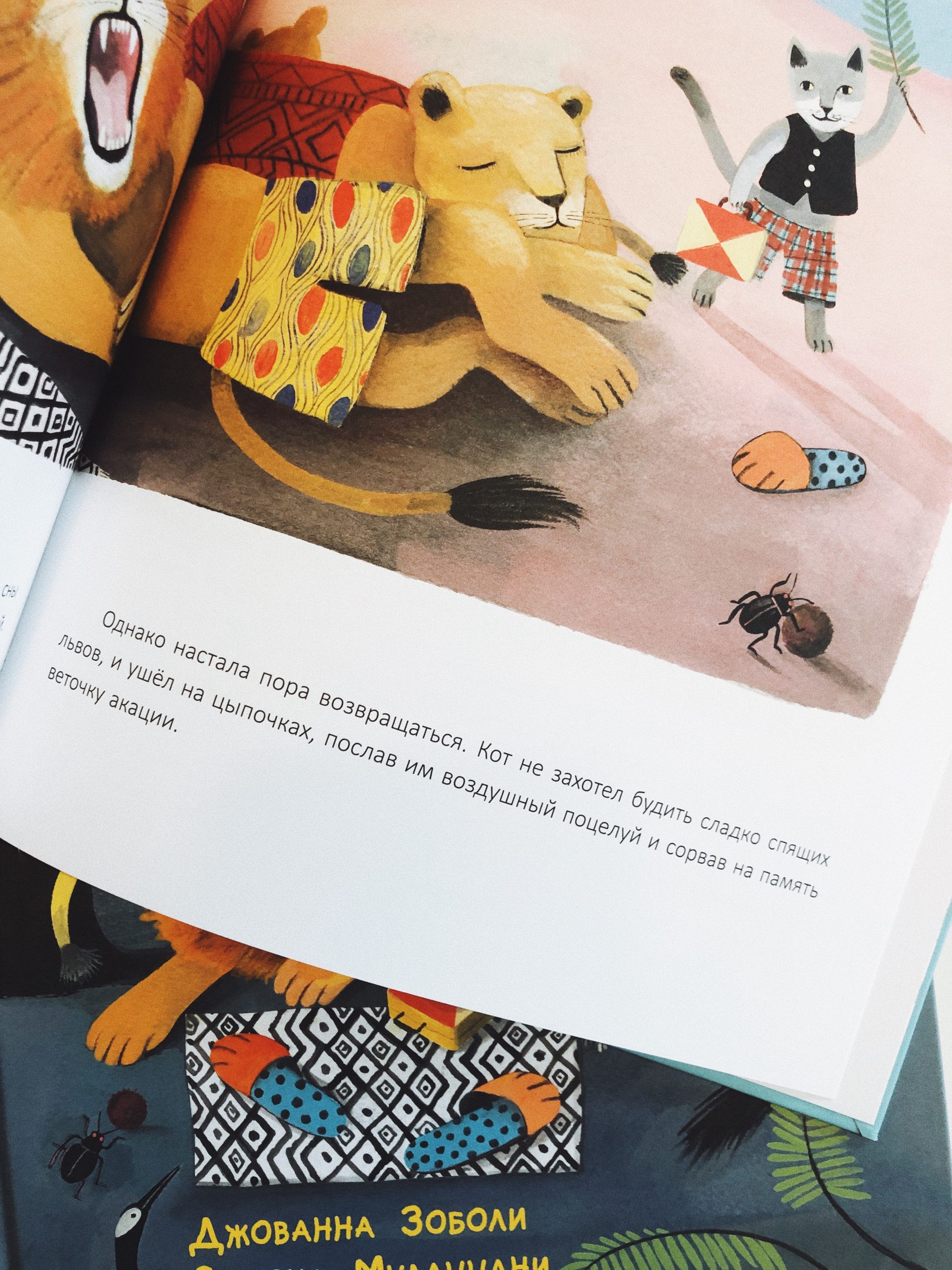 Счастье кота Феличе - Image 4