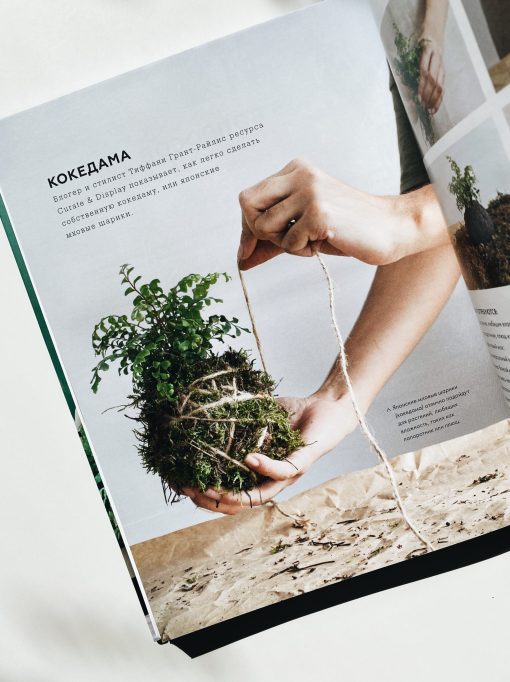 Urban Jungle. Как создать уютный интерьер с помощью растений - Image 3