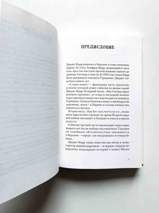 А мама дома? (3) - Image 2