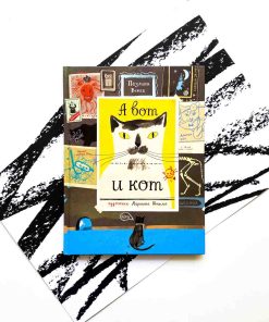А вот и кот