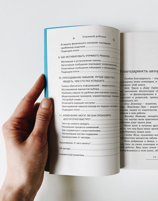 Упрямый ребенок: как установить границы дозволенного - Image 6