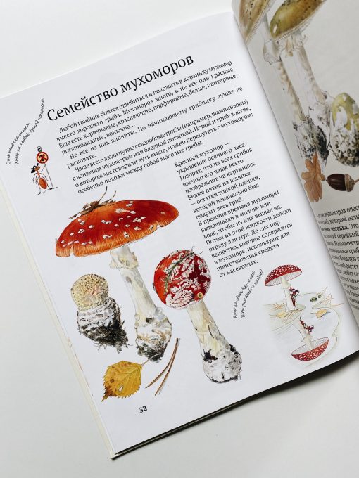 Софи в мире грибов - Image 3