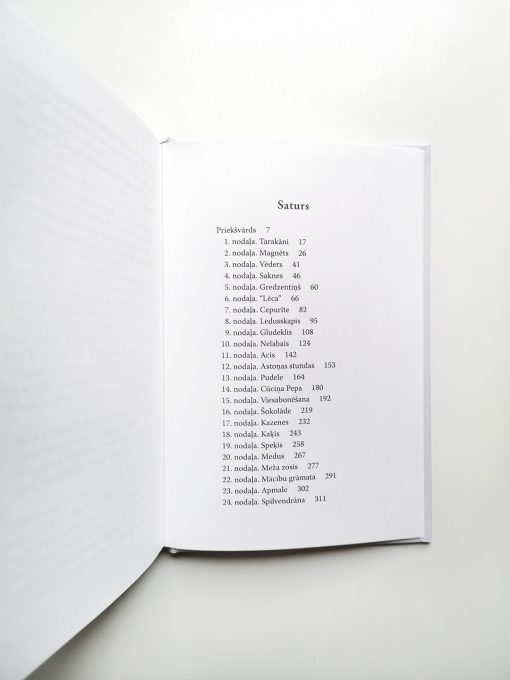 Aiznes projām manas bēdas - Image 2