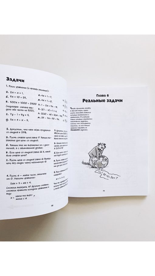 Алгебра. Естественная наука в комиксах - Image 2