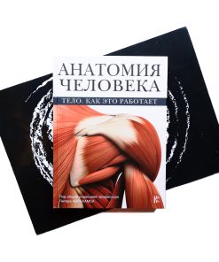 Анатомия человека. Тело. Как это работает
