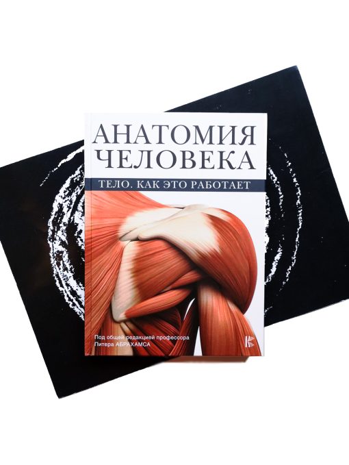 Анатомия человека. Тело. Как это работает