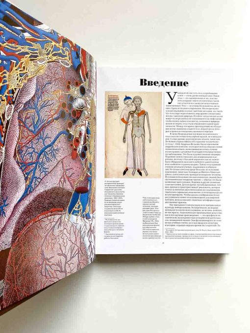 Анатомика. От ужасного до великого: человеческое тело в искусстве - Image 3