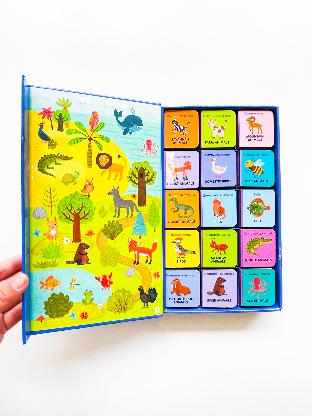 Мои первые слова. Английский язык. Животные (комплект из 15 книжек-кубиков) - Image 2