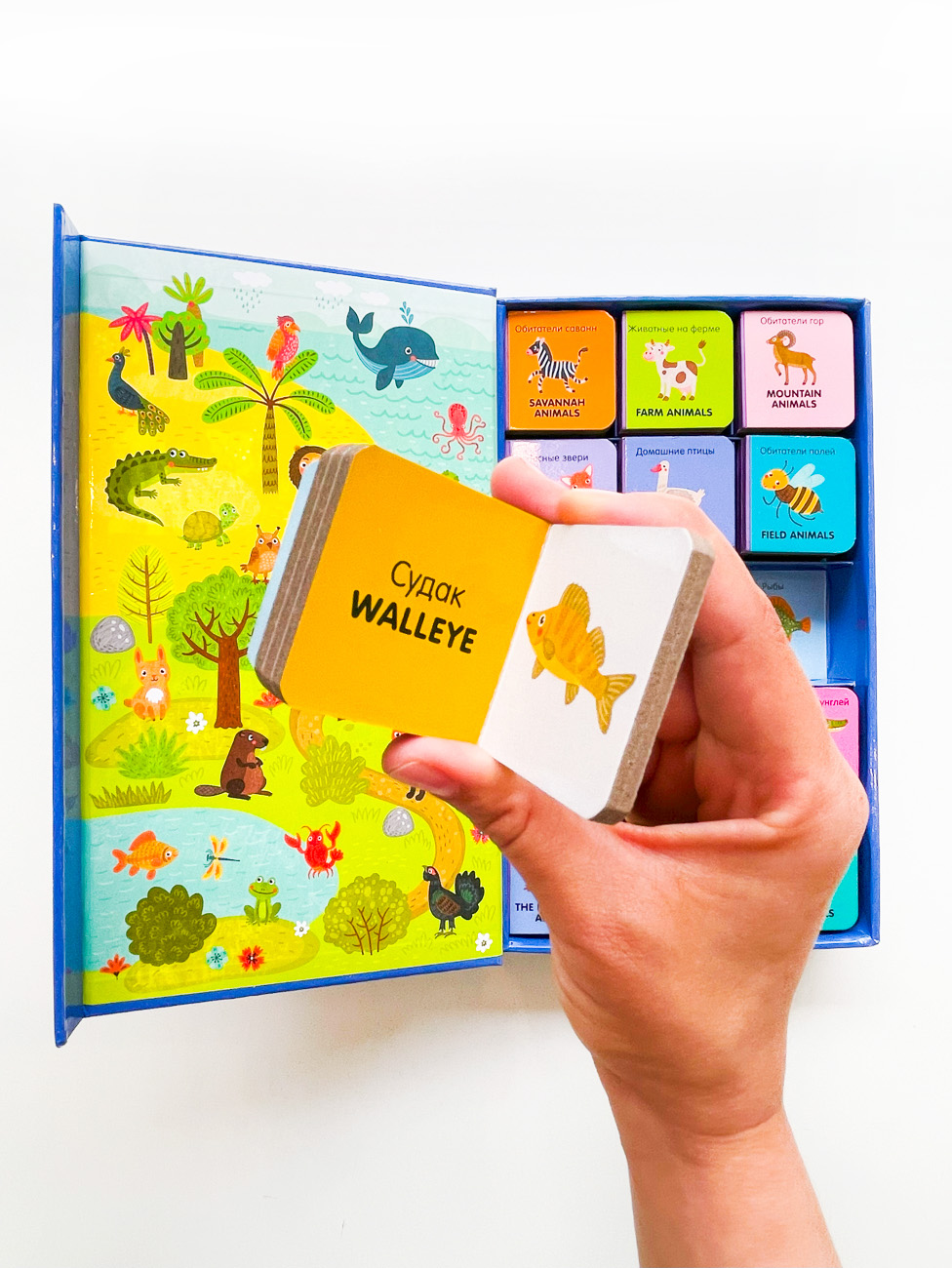Мои первые слова. Английский язык. Животные (комплект из 15 книжек-кубиков) - Image 5