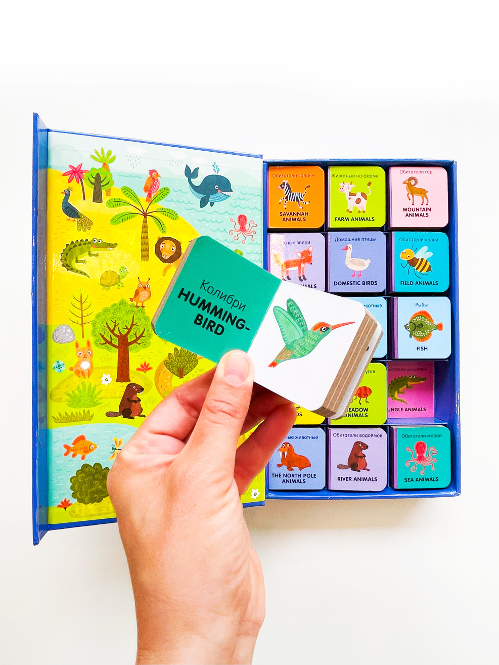 Мои первые слова. Английский язык. Животные (комплект из 15 книжек-кубиков) - Image 4