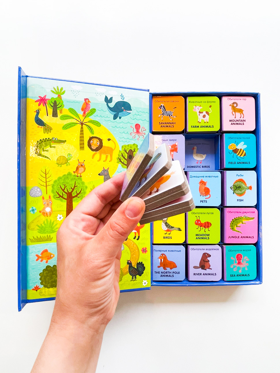 Мои первые слова. Английский язык. Животные (комплект из 15 книжек-кубиков) - Image 3