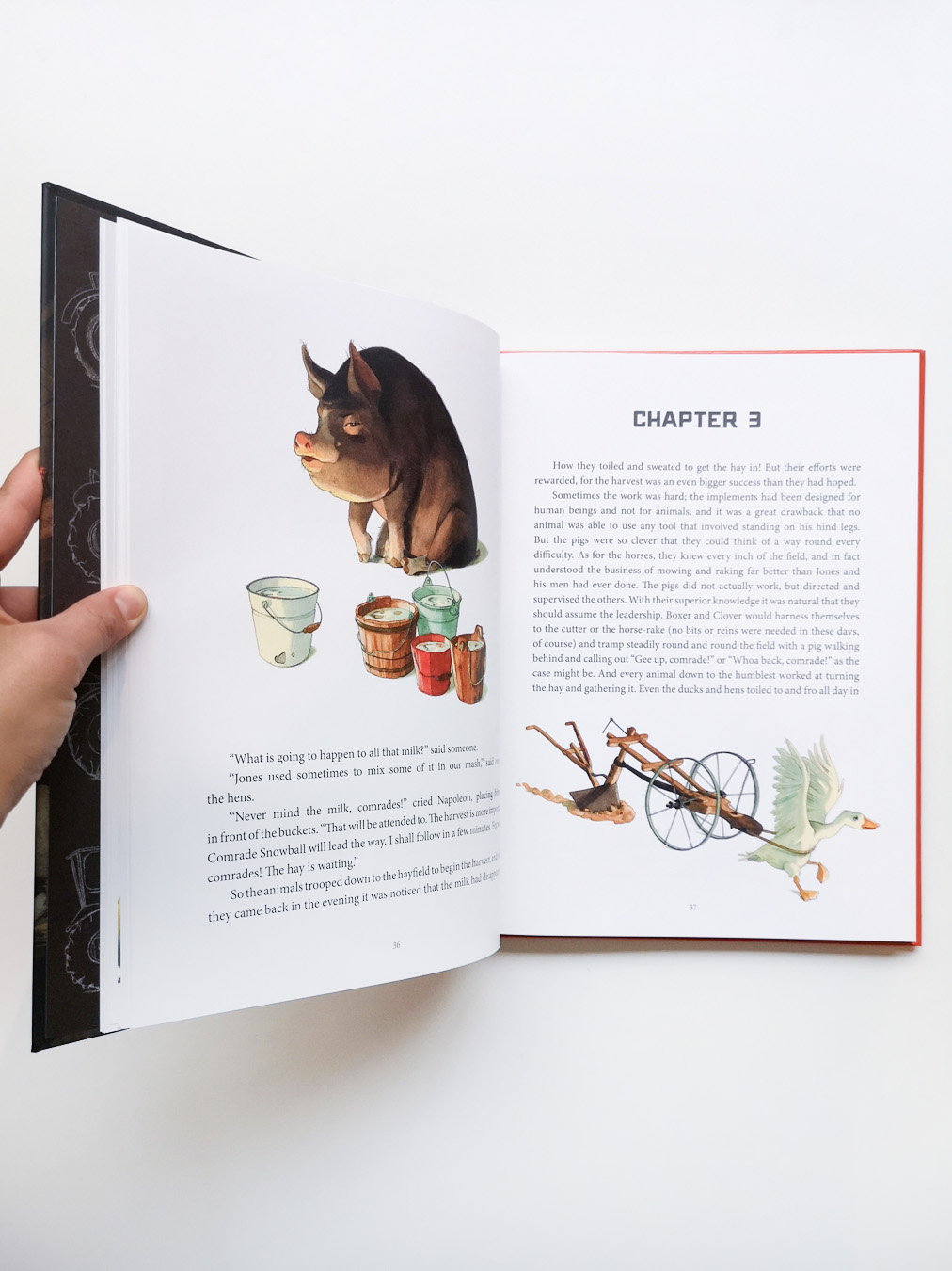 Animal farm - Image 6