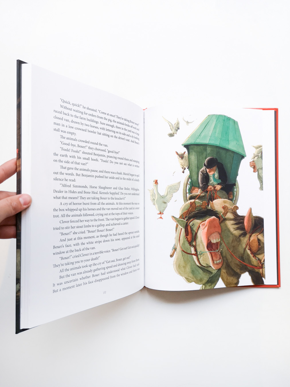 Animal farm - Image 3