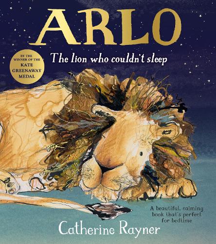 Arlo The Lion Who Couldn't Sleep (Paperback)