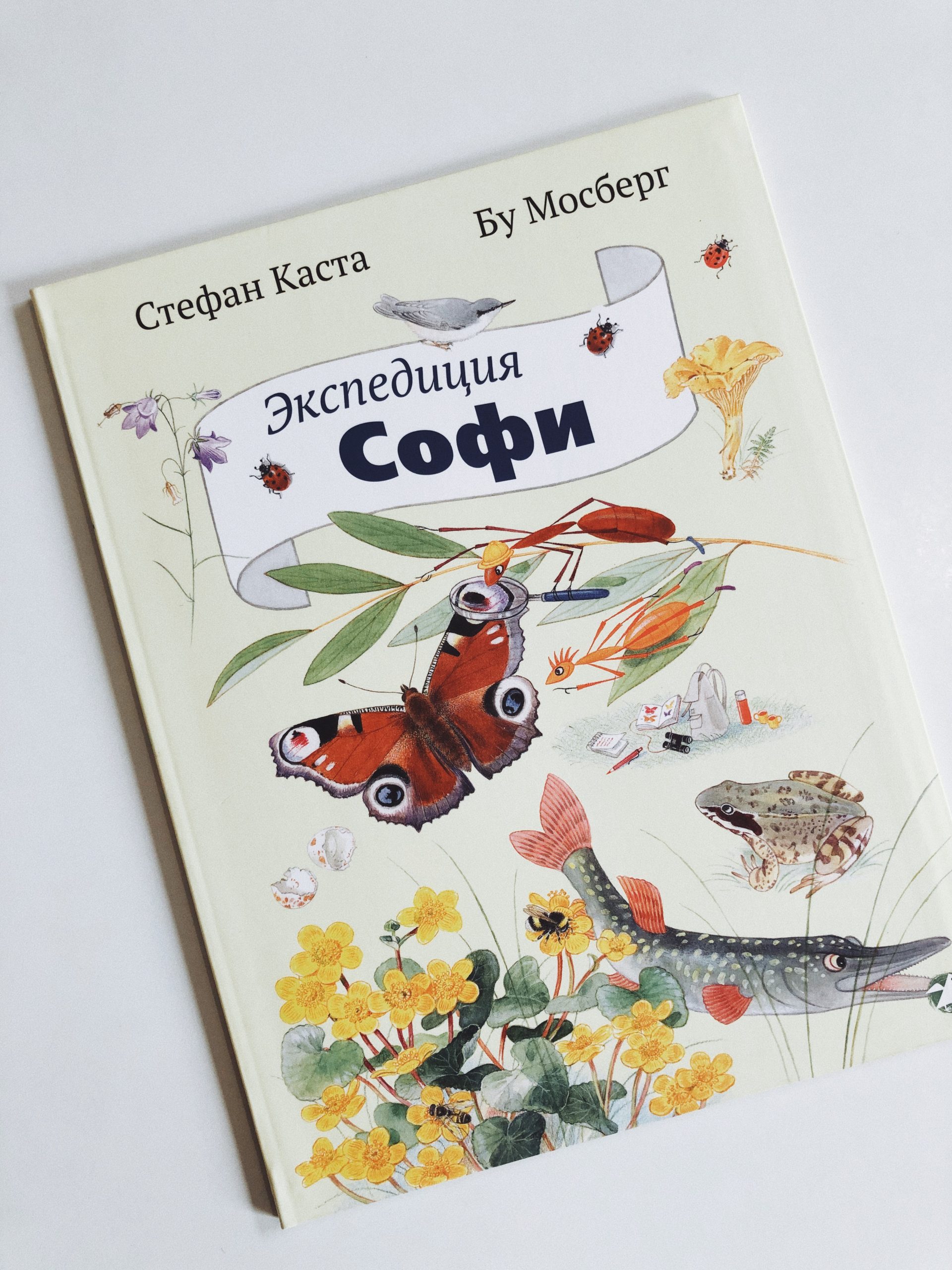 Экспедиция Софи