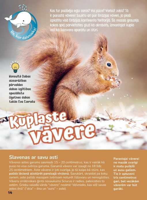 Žurnāls Baltais valis Nr.24 - Image 2