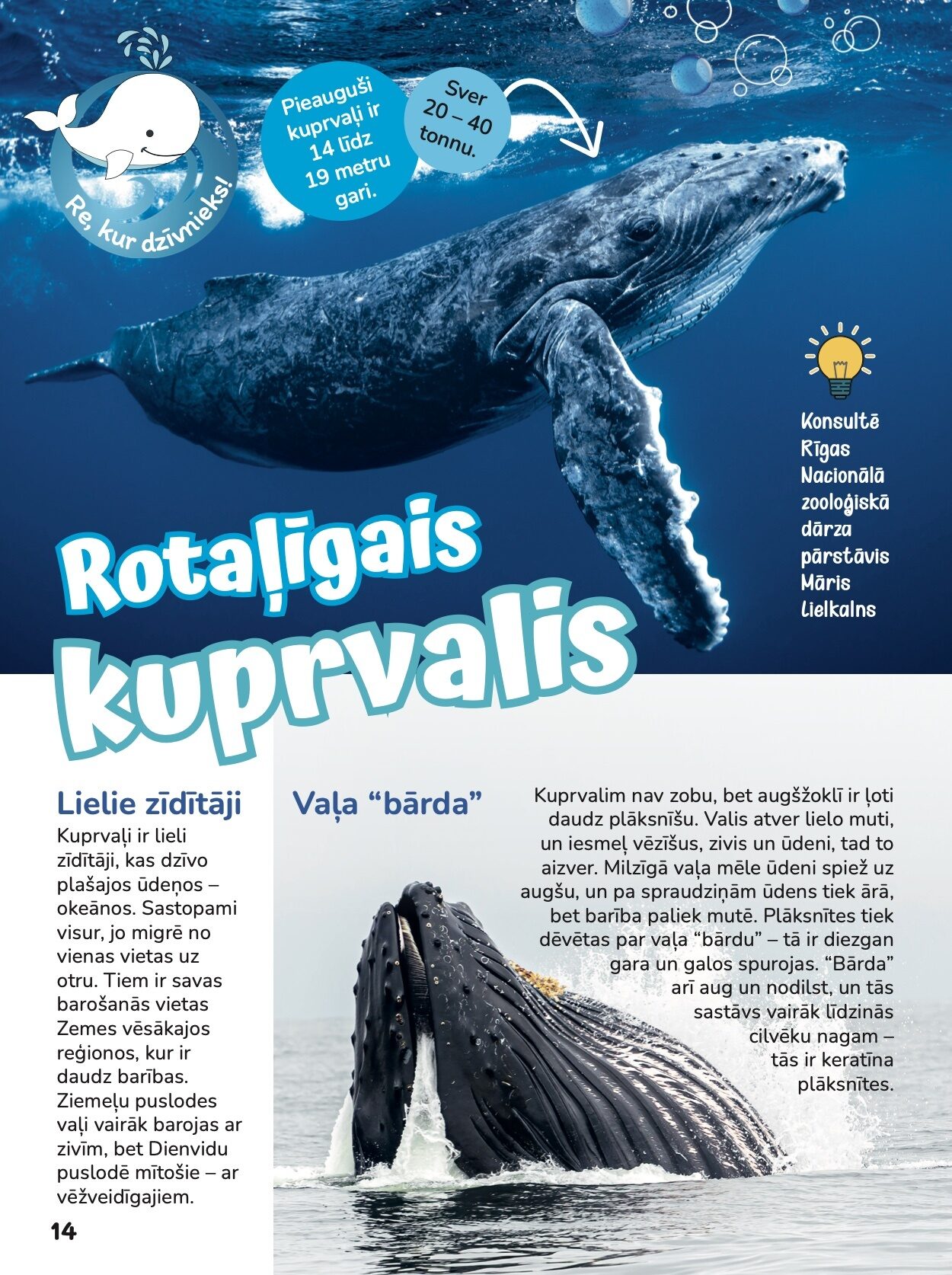Žurnāls Baltais valis Nr.28 - Image 3