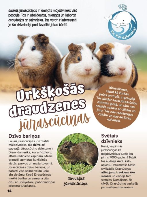 Žurnāls Baltais valis Nr.25 - Image 3