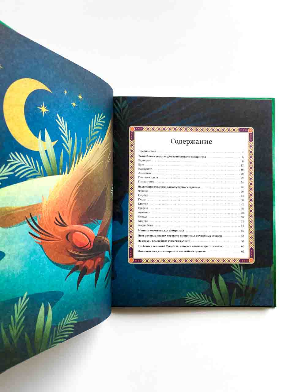 Большая книга о волшебных существах - Image 2