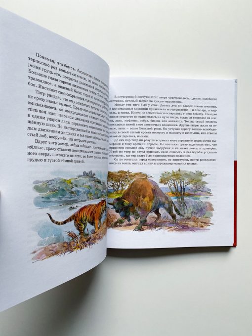 Борьба за огонь - Image 3