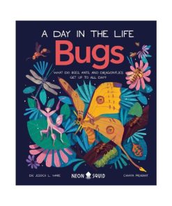 Bugs (A Day in the Life): What Do Bees, Ants, and Dragonflies Get up to All Day? (Hardback)