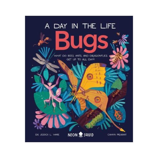 Bugs (A Day in the Life): What Do Bees, Ants, and Dragonflies Get up to All Day? (Hardback)