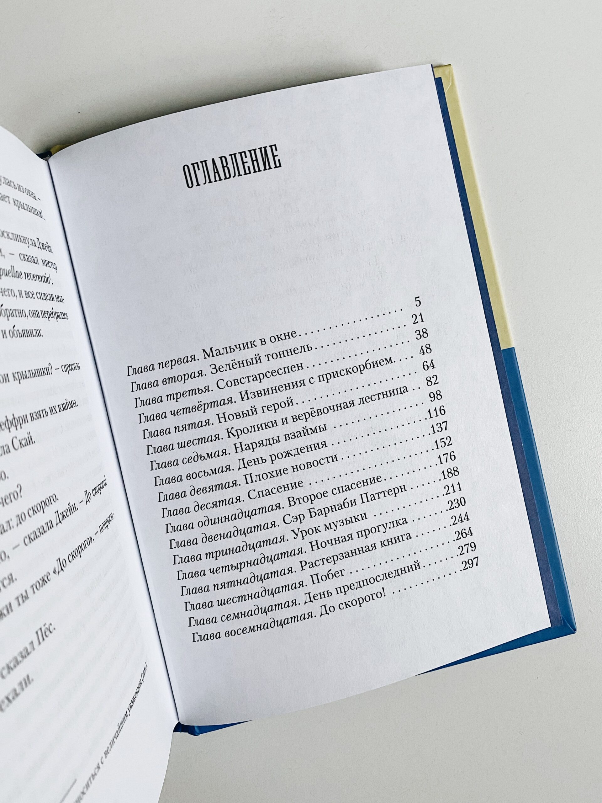 Пендервики. Летняя история про четырёх сестёр, двух кроликов и одного мальчика (1) - Image 2