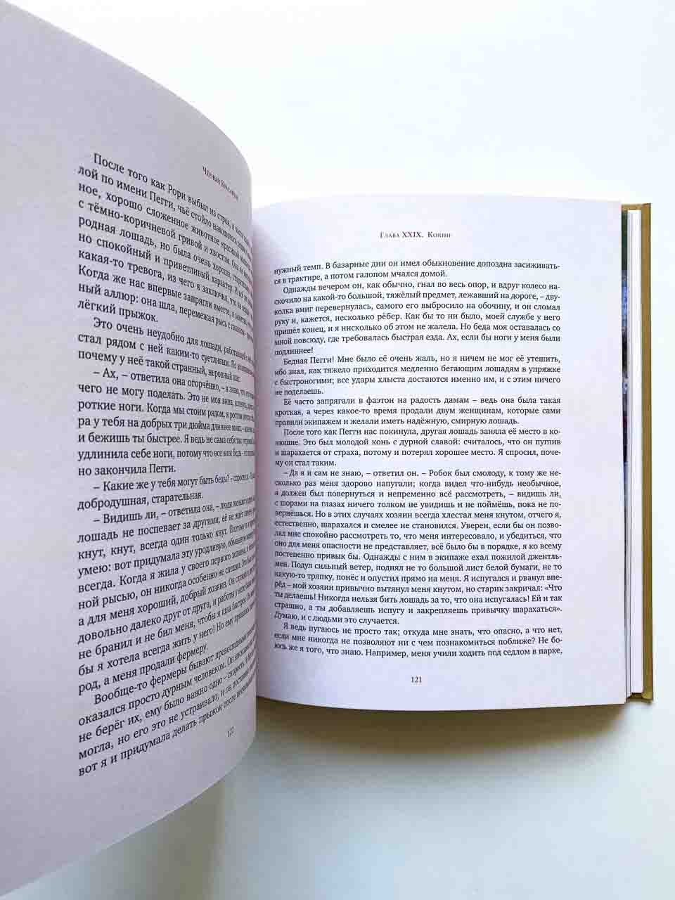 Черный Красавчик - Image 8