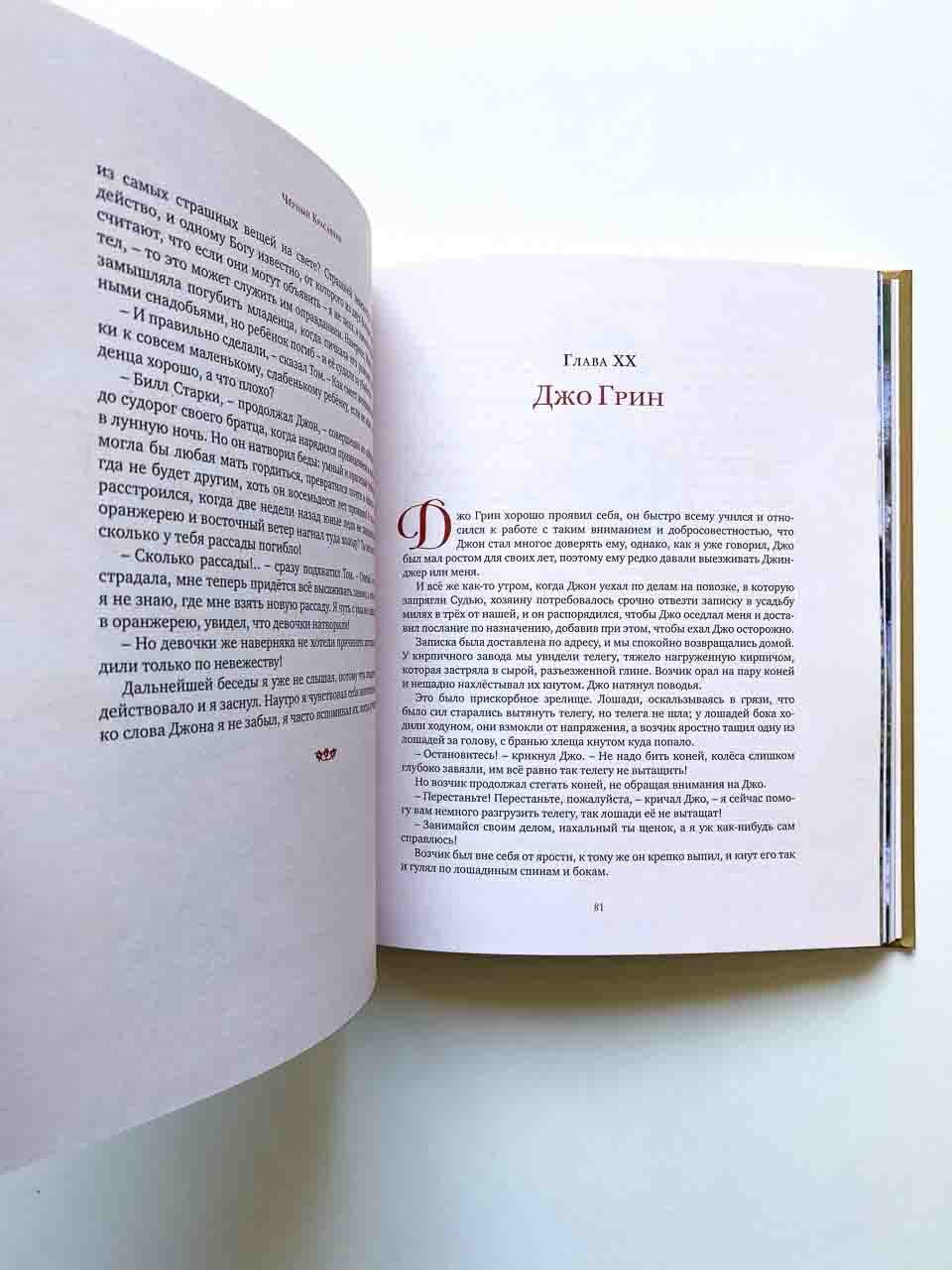 Черный Красавчик - Image 6