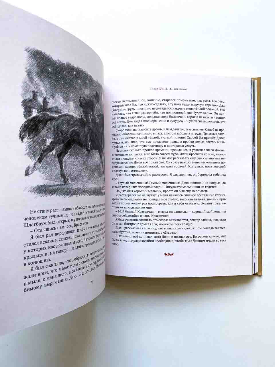 Черный Красавчик - Image 5